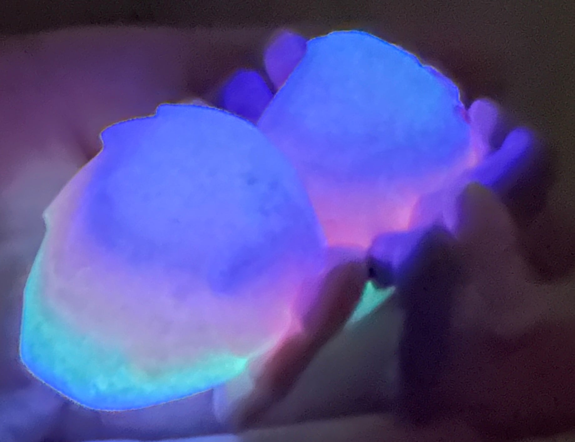 Araignée Sauteuse 3D - Glow Licorne Créations Sortilege