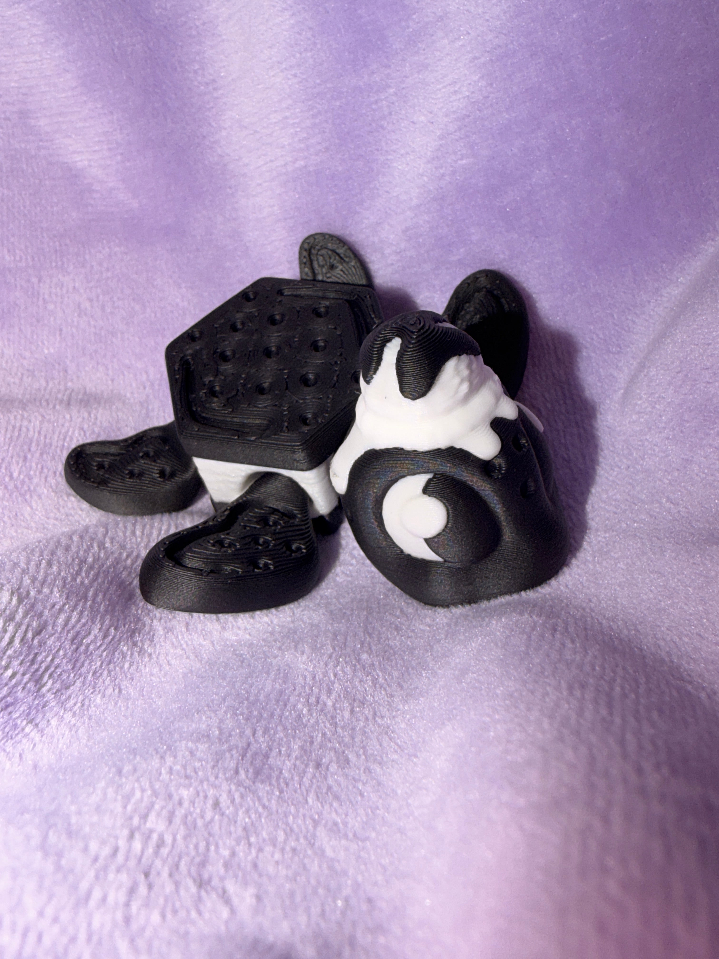 Tortue Dessert Collection