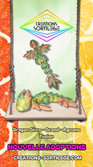 Dragon Givre - Grand - Agrume Fusion Créations Sortilege