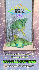 Raie Manta Souriante - Moyen - Pistache Ensoleillé Créations Sortilege